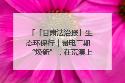 「甘肃法治报」生态环保行｜景电二期“焕新”，在荒漠上筑起一道绿色长城