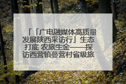 「广电融媒体高质量发展陕西采访行」生态打底 农旅生金——探访西营镇蔓营村省级旅游示范村的振兴密码