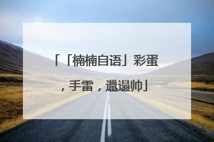 「楠楠自语」彩蛋，手雷，邋遢帅