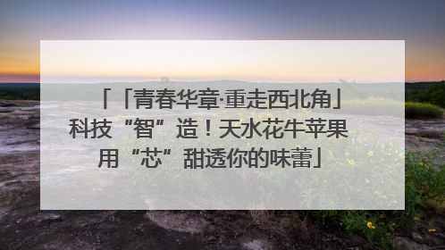 「青春华章·重走西北角」科技“智”造！天水花牛苹果用“芯”甜透你的味蕾