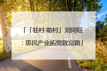 「驻村·助村」刘同旺：惠民产业拓宽致富路