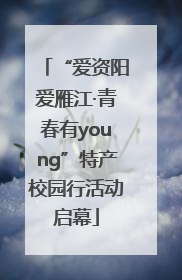 “爱资阳爱雁江·青春有young”特产校园行活动启幕
