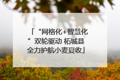 “网格化+智慧化”双轮驱动 柘城县全力护航小麦夏收