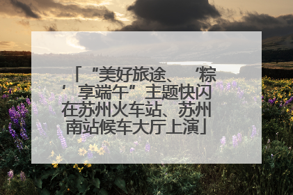 “美好旅途、‘粽’享端午”主题快闪在苏州火车站、苏州南站候车大厅上演