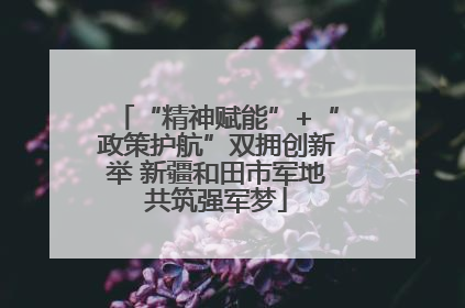“精神赋能”+“政策护航”双拥创新举 新疆和田市军地共筑强军梦