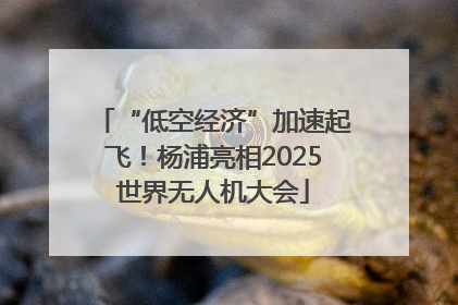 “低空经济”加速起飞！杨浦亮相2025世界无人机大会