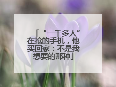 “一千多人”在抢的手机，他买回家：不是我想要的那种
