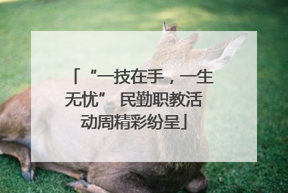 “一技在手，一生无忧” 民勤职教活动周精彩纷呈