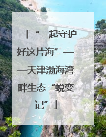 “一起守护好这片海”——天津渤海湾畔生态“蜕变记”