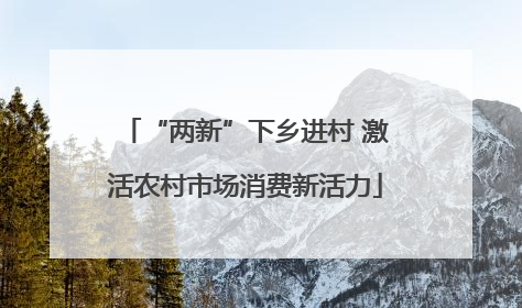 “两新”下乡进村 激活农村市场消费新活力
