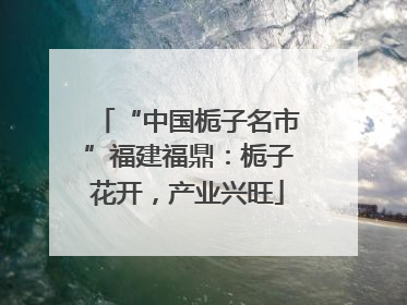 “中国栀子名市”福建福鼎：栀子花开，产业兴旺