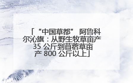 “中国草都” 阿鲁科尔沁旗：从野生牧草亩产 35 公斤到苜蓿草亩产 800 公斤以上