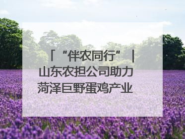“伴农同行”｜山东农担公司助力菏泽巨野蛋鸡产业高质量发展