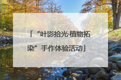 “叶影拾光·植物拓染”手作体验活动