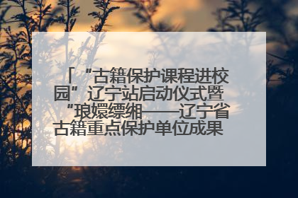 “古籍保护课程进校园”辽宁站启动仪式暨“琅嬛缥缃——辽宁省古籍重点保护单位成果展”在辽宁大学举行