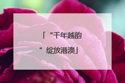 “千年越韵”绽放港澳