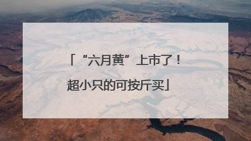 “六月黄”上市了！超小只的可按斤买