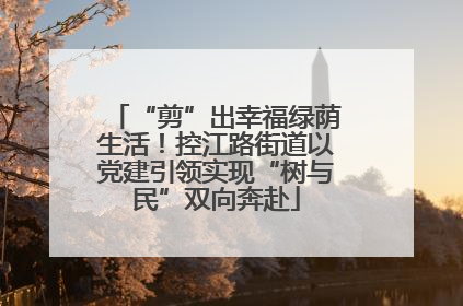 “剪”出幸福绿荫生活！控江路街道以党建引领实现“树与民”双向奔赴