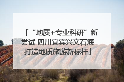 “地质+专业科研”新尝试 四川宜宾兴文石海打造地质旅游新标杆