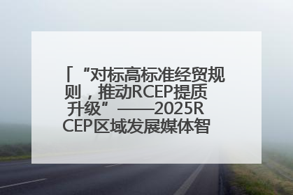 “对标高标准经贸规则，推动RCEP提质升级”——2025RCEP区域发展媒体智库论坛举行专题对话