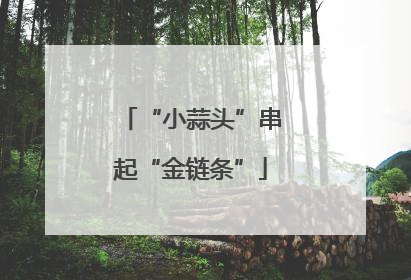 “小蒜头”串起“金链条”