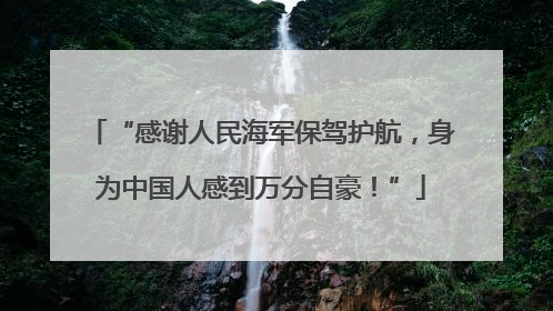 “感谢人民海军保驾护航，身为中国人感到万分自豪！”