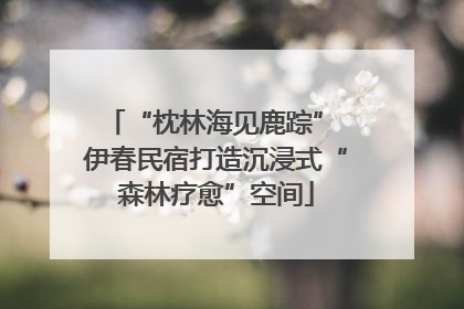 “枕林海见鹿踪” 伊春民宿打造沉浸式“森林疗愈”空间