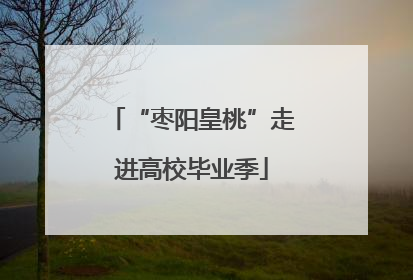 “枣阳皇桃”走进高校毕业季