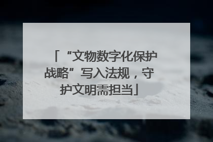 “文物数字化保护战略”写入法规，守护文明需担当