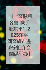 “文脉承齐鲁 携手赴东平”2025东平湖文旅走进济宁推介会圆满举办