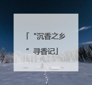 “沉香之乡”寻香记