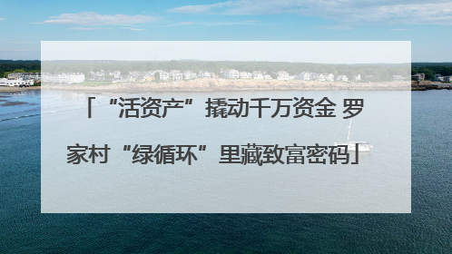 “活资产”撬动千万资金 罗家村“绿循环”里藏致富密码