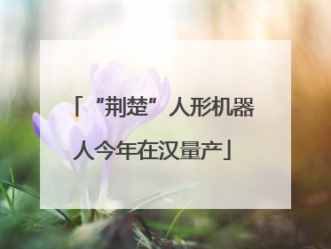 “荆楚”人形机器人今年在汉量产