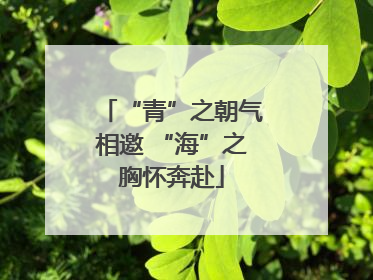 “青”之朝气相邀 “海”之胸怀奔赴