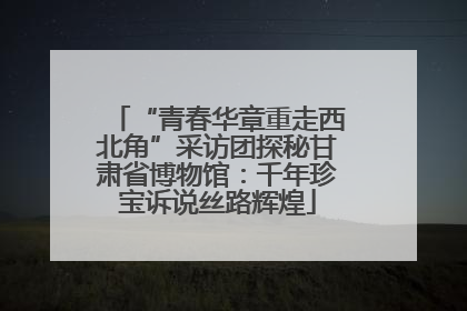“青春华章重走西北角”采访团探秘甘肃省博物馆：千年珍宝诉说丝路辉煌