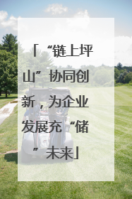 “链上坪山”协同创新，为企业发展充“储”未来