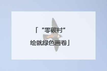 “零碳村” 绘就绿色画卷
