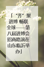“齐”聚进博 畅联全球——第八届进博会招商路演在山东临沂举办