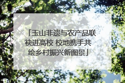 玉山非遗与农产品联袂进高校 校地携手共绘乡村振兴新图景