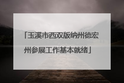 玉溪市西双版纳州德宏州参展工作基本就绪