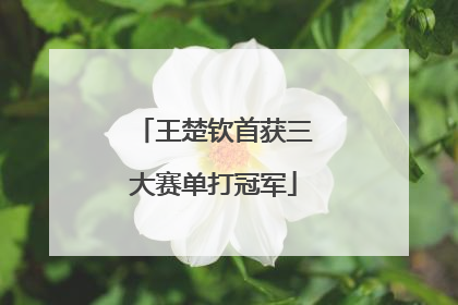 王楚钦首获三大赛单打冠军