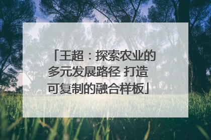 王超：探索农业的多元发展路径 打造可复制的融合样板