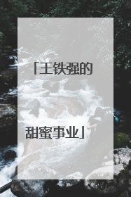 王铁强的甜蜜事业