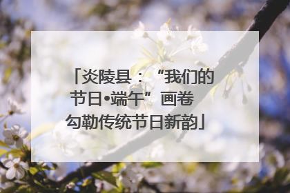 炎陵县：“我们的节日•端午”画卷 勾勒传统节日新韵