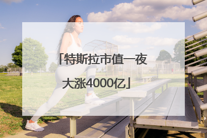 特斯拉市值一夜大涨4000亿