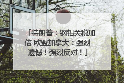 特朗普：钢铝关税加倍 欧盟加拿大：强烈遗憾！强烈反对！
