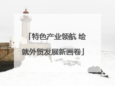 特色产业领航 绘就外贸发展新画卷