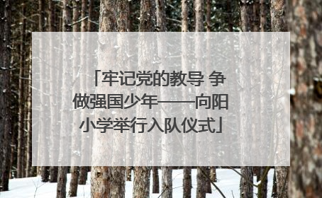 牢记党的教导 争做强国少年——向阳小学举行入队仪式
