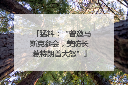 猛料：“曾邀马斯克参会，美防长惹特朗普大怒”