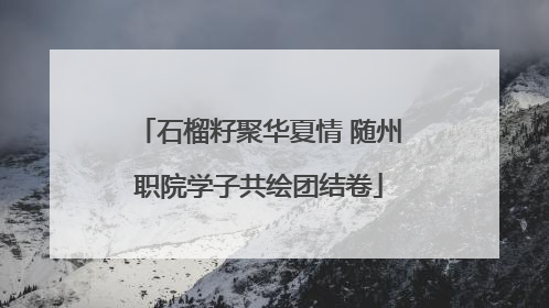 石榴籽聚华夏情 随州职院学子共绘团结卷